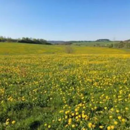 In Frankenberg Fuer Radfahrer Apartment
