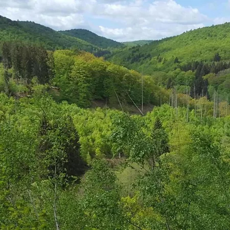 Apartment In Frankenberg Fuer Radfahrer Frankenberg an der Eder